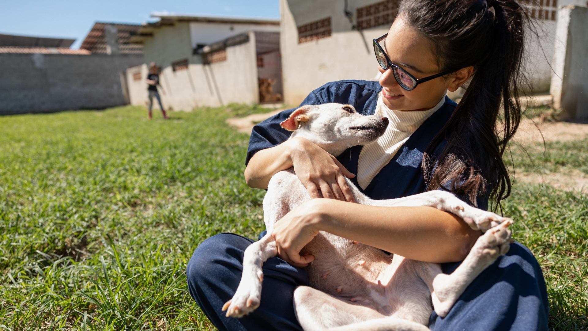 A vet is holding a dog