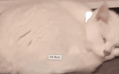 Elli Bury
