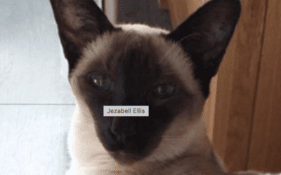 Jezabell Ellis