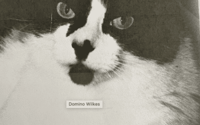 Domino Wilkes