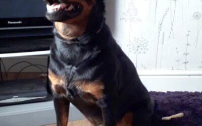 Oscar