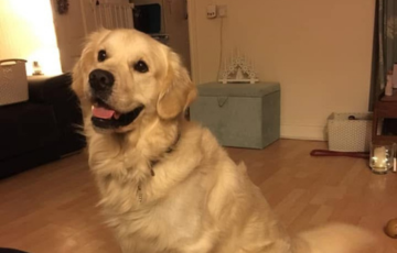 Oscar