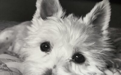 Lola