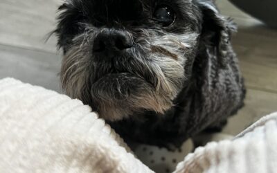 Oscar