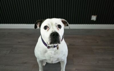 Skye