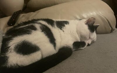 Suzie